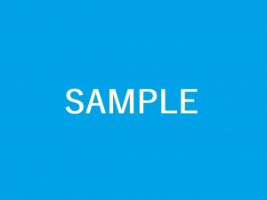 SAMPLE3代替テキスト